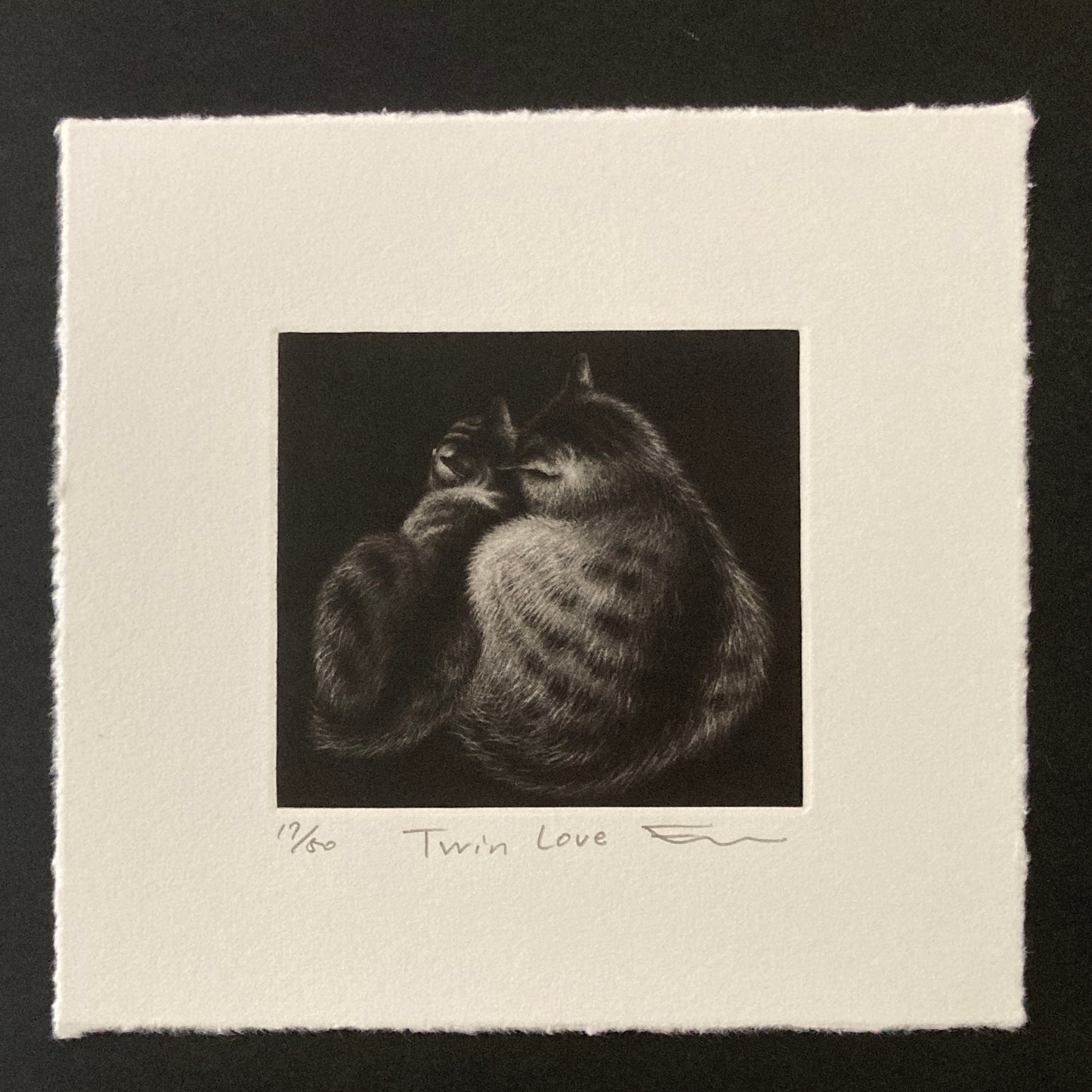 Twin Love Mezzotint Copperplate Print by Emi Sato, Two Cats, Ed. 50, Sheet