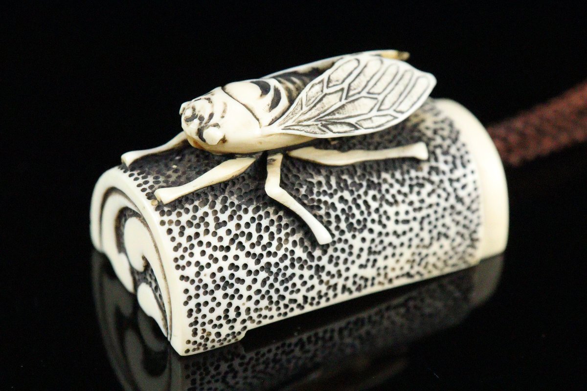 Edo Period Somada Inro with Gold Maki-e Landscape Bird Flower Raden Cicada Netsuke