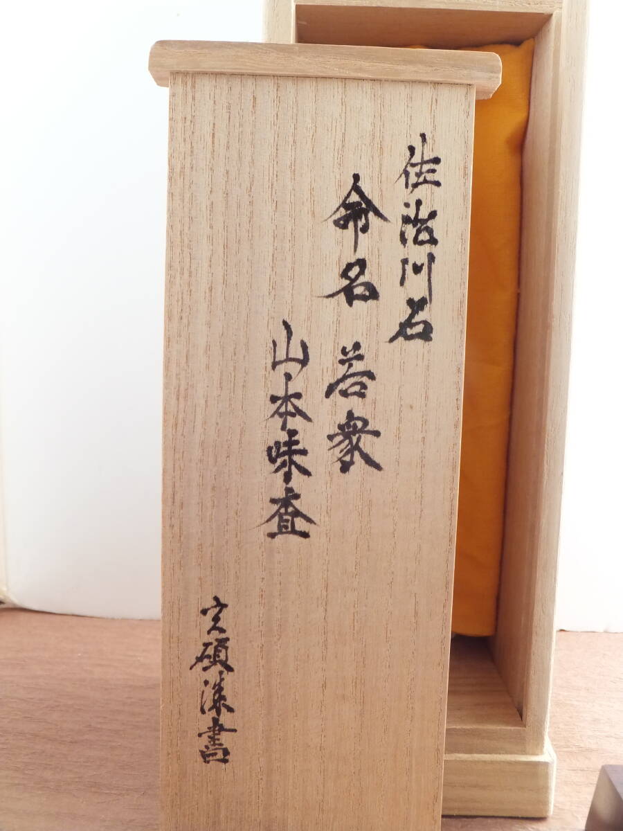 Sajigawa Suiseki Viewing Stone, Figure Form, Titled Wakashu, with Daiza and Box