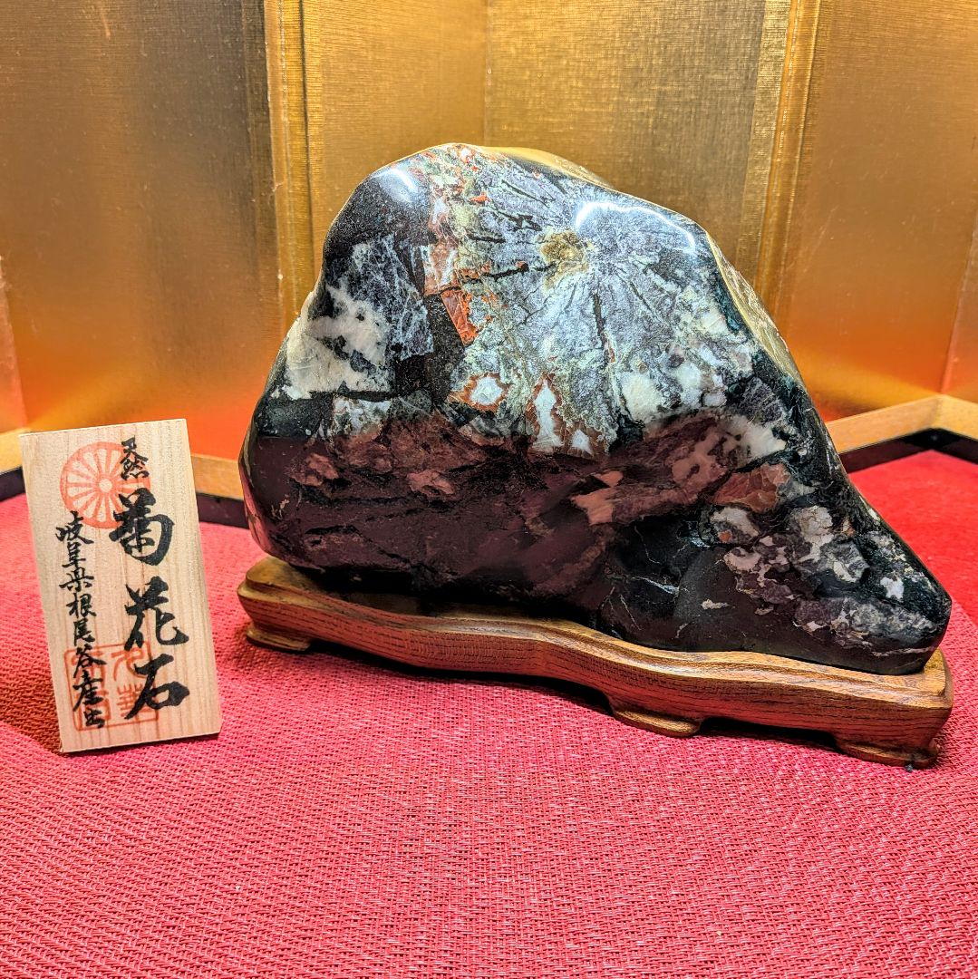 Kikkaseki Chrysanthemum Stone from Neodani Gifu Suiseki Viewing Stone on Keyaki Stand