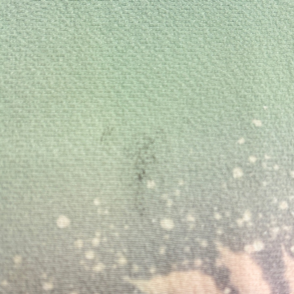 Suizan Kobo Tsukesage Kimono Silk Awase Tsujigahana Bokashi Pale Green M