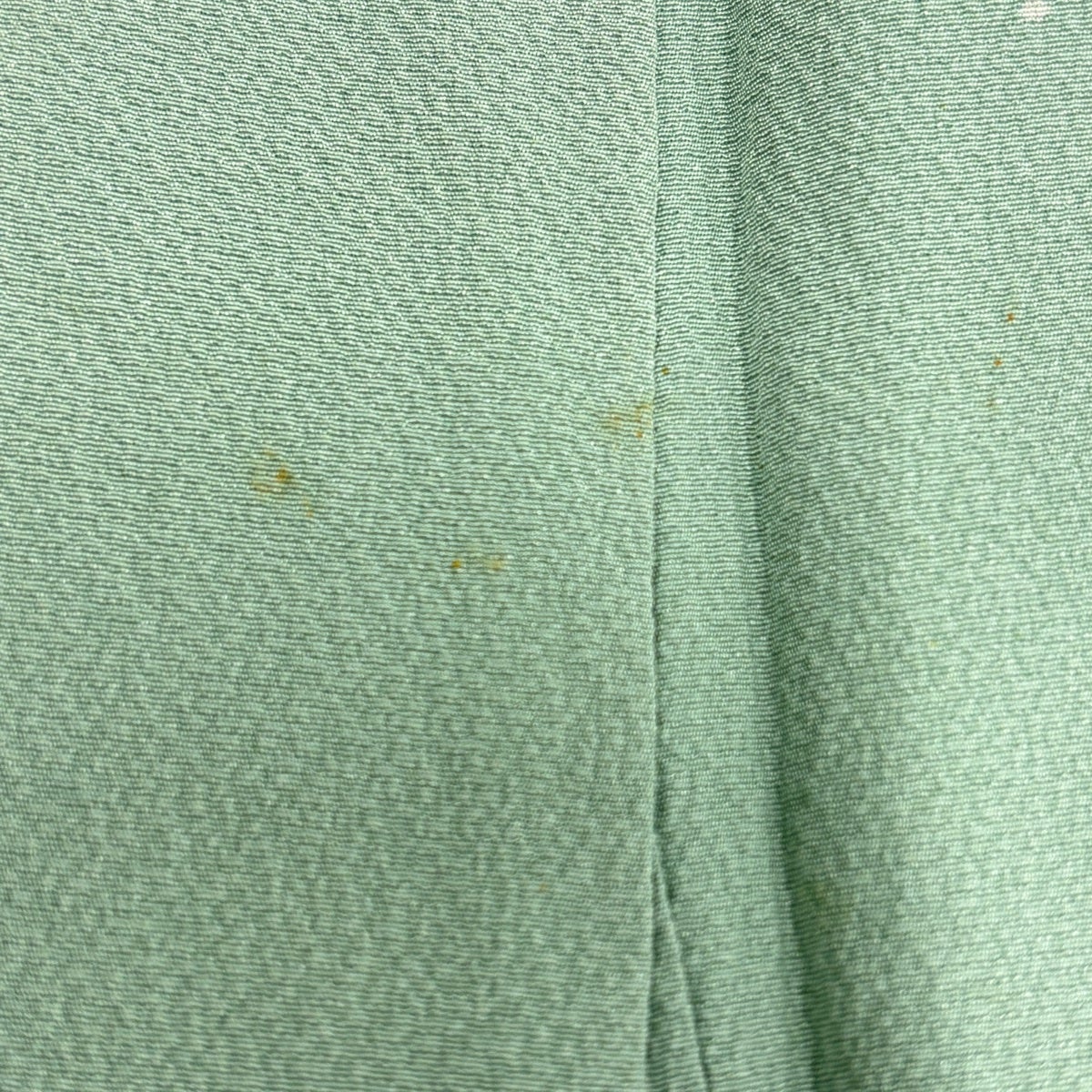 Suizan Kobo Tsukesage Kimono Silk Awase Tsujigahana Bokashi Pale Green M