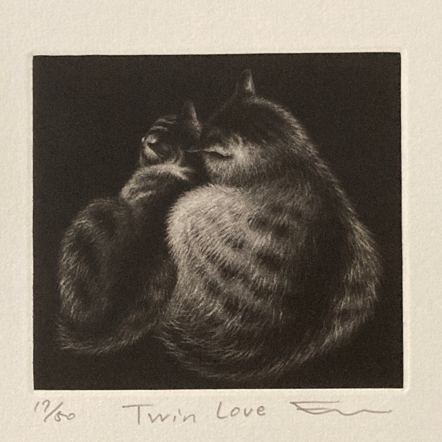 Twin Love Mezzotint Copperplate Print by Emi Sato, Two Cats, Ed. 50, Sheet