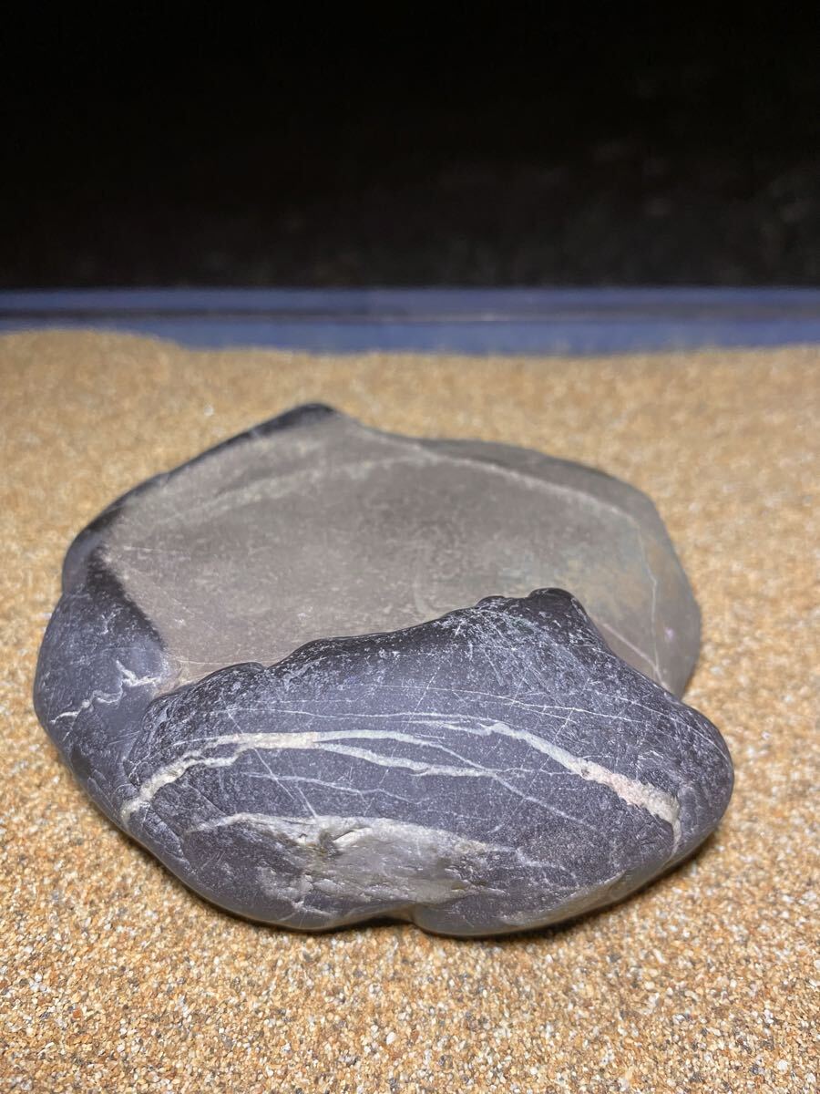 Abekawa-ishi Suiseki Viewing Stone Named Tasuki-gake Natural Pattern Stone
