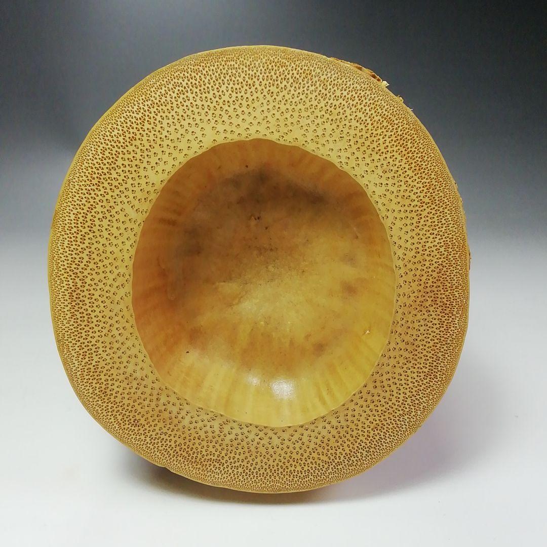 Tachibana Daiki of Daitokuji Bamboo Hanaire Flower Vase Ichijugiri named Matsukaze Height approx. 26 cm Width approx. 9.5 cm