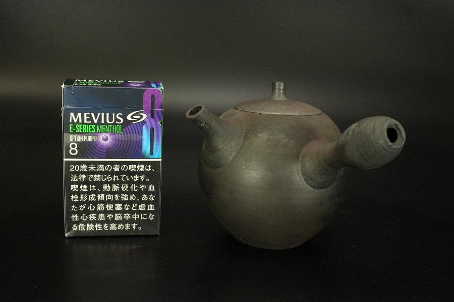 Kuroda Takashi Kasama Yaki Yokote Teapot Yakishime Stoneware with Tomobako