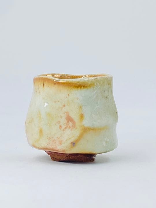 John Dix Guinomi Sake Cup Oue Kiln Tamba Ware with Tomobako
