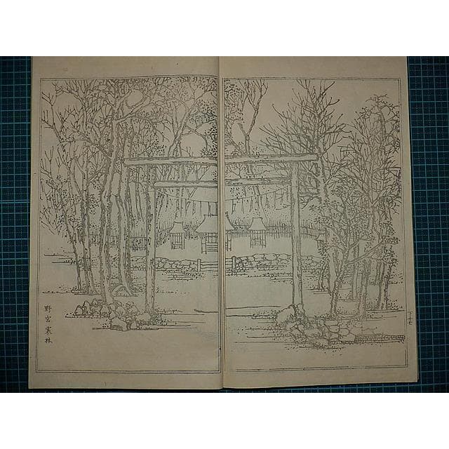 Edo Woodblock Book Teito Gakei Ichiran Keio Recut Reissue Monochrome Kyoto Views Rai Sanyo Kawamura Bunpo