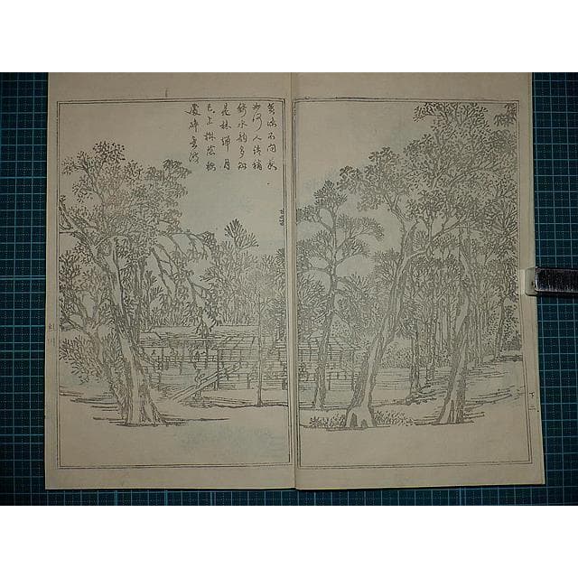 Edo Woodblock Book Teito Gakei Ichiran Keio Recut Reissue Monochrome Kyoto Views Rai Sanyo Kawamura Bunpo