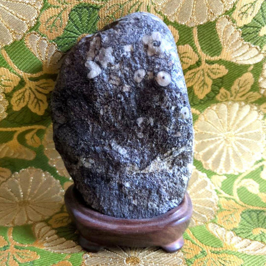 Moji Baikaseki Plum Blossom Stone Suiseki Natural Monument with Wooden Stand Height approx. 13.0 cm