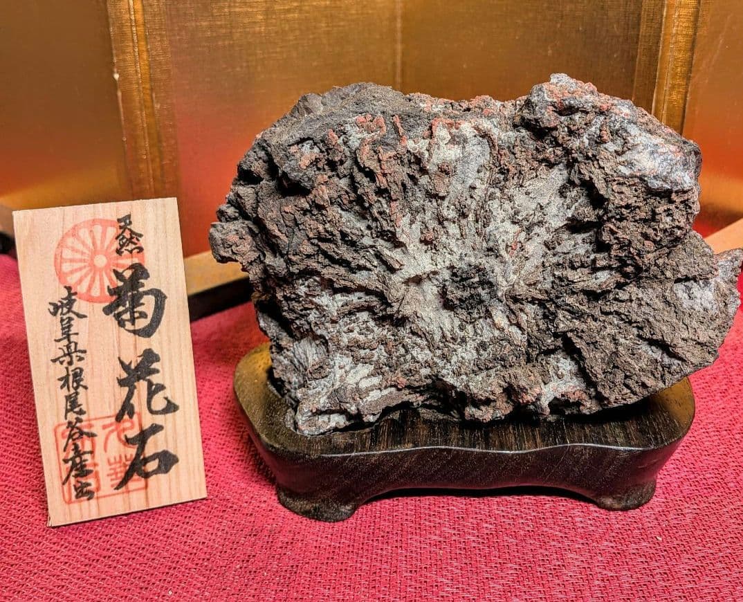 Kikkaseki Chrysanthemum Stone from Neodani Gifu Suiseki Viewing Stone 2 kg