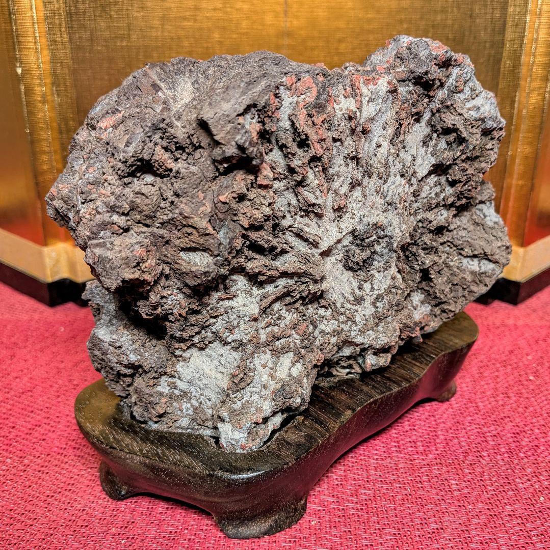 Kikkaseki Chrysanthemum Stone from Neodani Gifu Suiseki Viewing Stone 2 kg