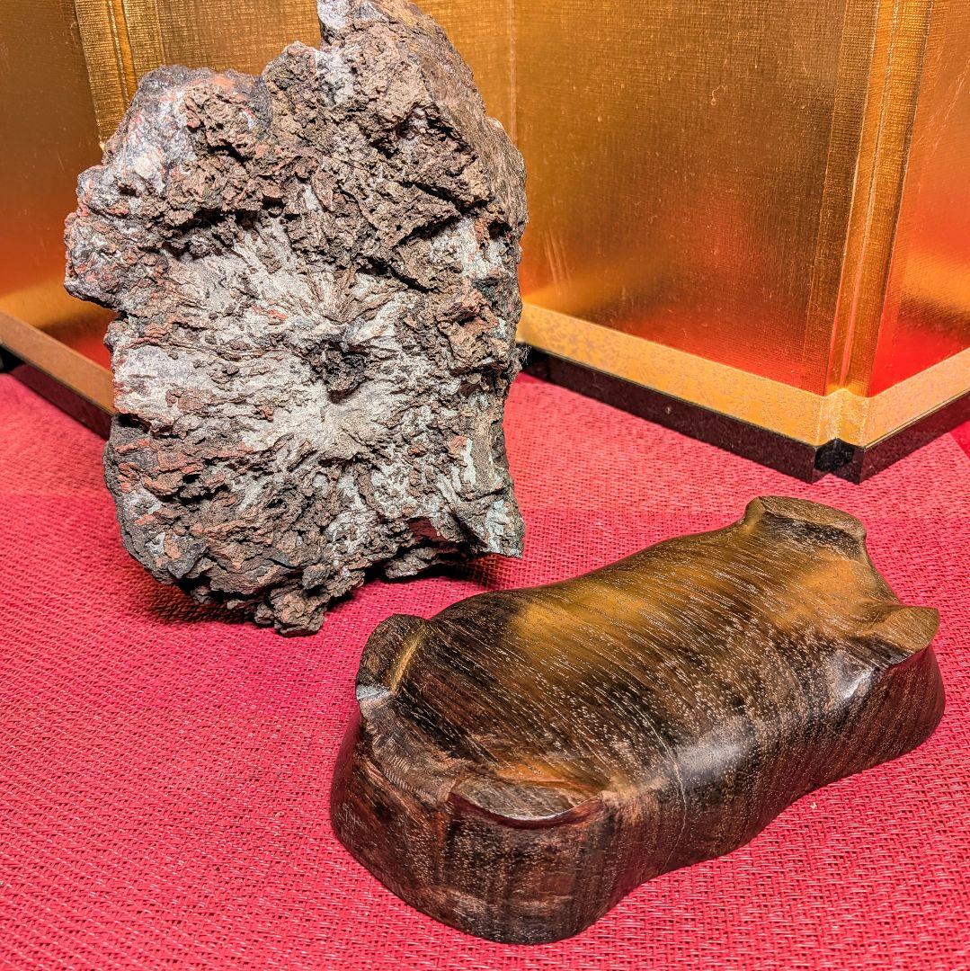 Kikkaseki Chrysanthemum Stone from Neodani Gifu Suiseki Viewing Stone 2 kg