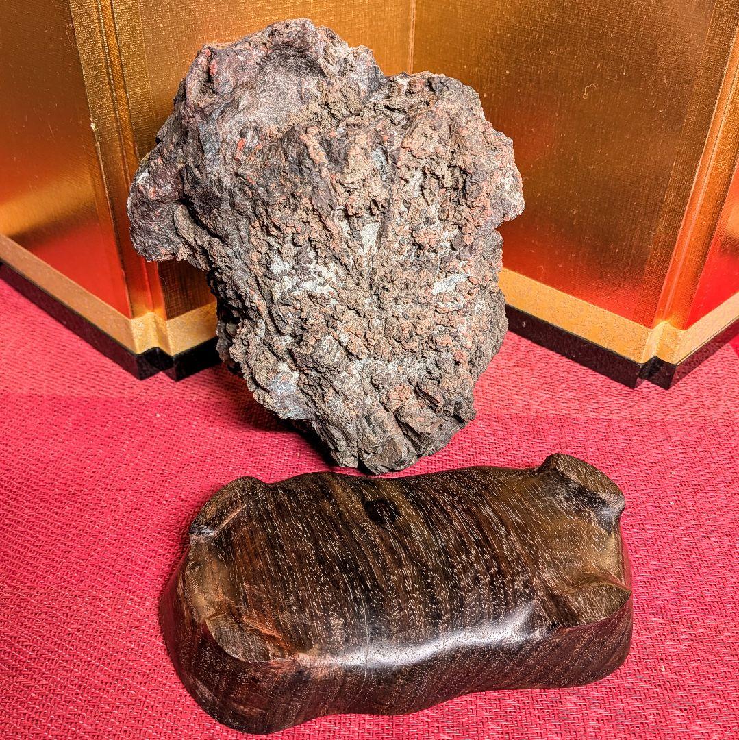 Kikkaseki Chrysanthemum Stone from Neodani Gifu Suiseki Viewing Stone 2 kg
