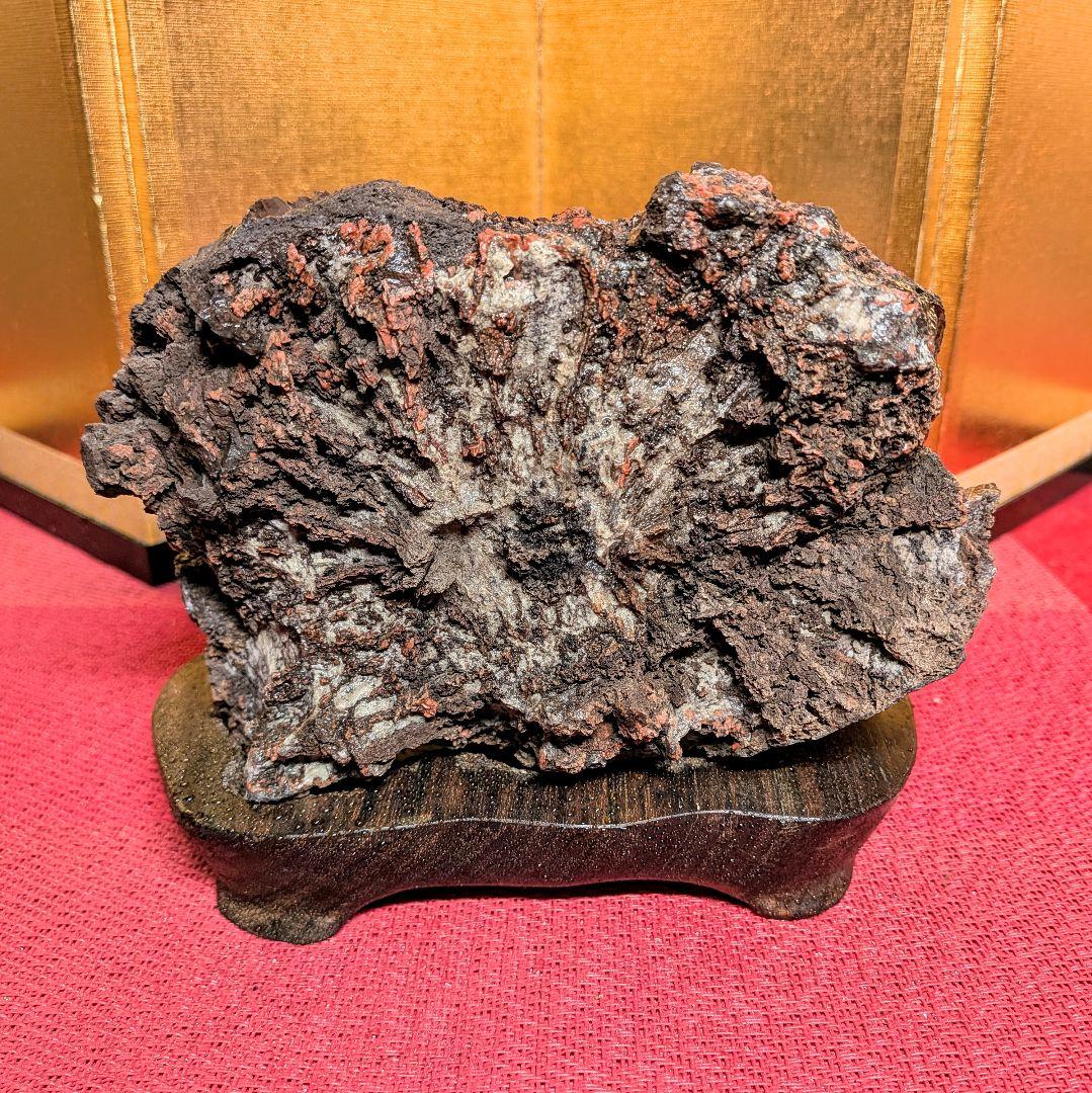 Kikkaseki Chrysanthemum Stone from Neodani Gifu Suiseki Viewing Stone 2 kg