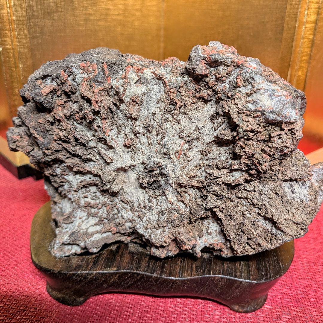 Kikkaseki Chrysanthemum Stone from Neodani Gifu Suiseki Viewing Stone 2 kg