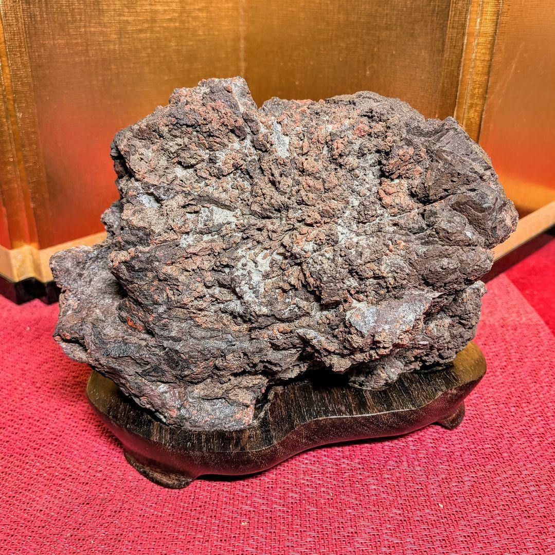 Kikkaseki Chrysanthemum Stone from Neodani Gifu Suiseki Viewing Stone 2 kg