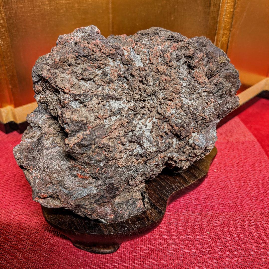 Kikkaseki Chrysanthemum Stone from Neodani Gifu Suiseki Viewing Stone 2 kg