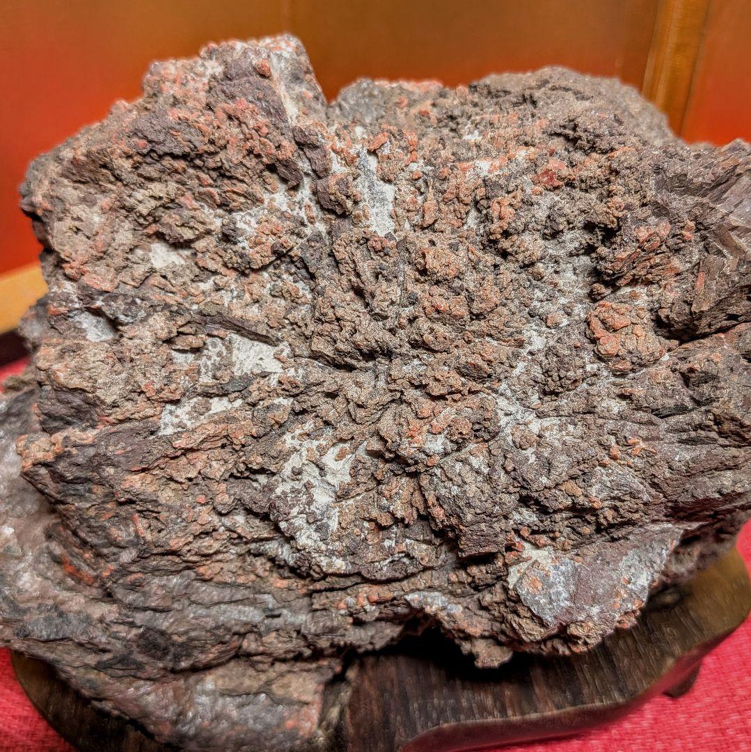Kikkaseki Chrysanthemum Stone from Neodani Gifu Suiseki Viewing Stone 2 kg