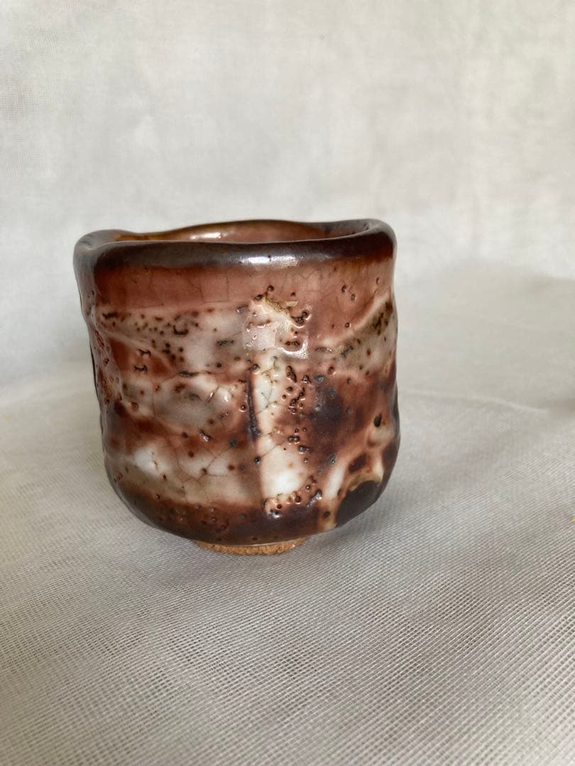 Kido Sadaaki Hafuri Shino Yunomi Teacup, Anagama Wood-Fired Shigaraki Ware