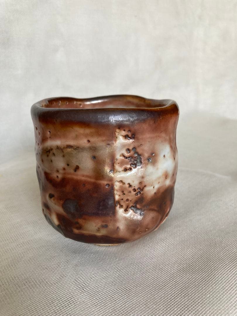Kido Sadaaki Hafuri Shino Yunomi Teacup, Anagama Wood-Fired Shigaraki Ware