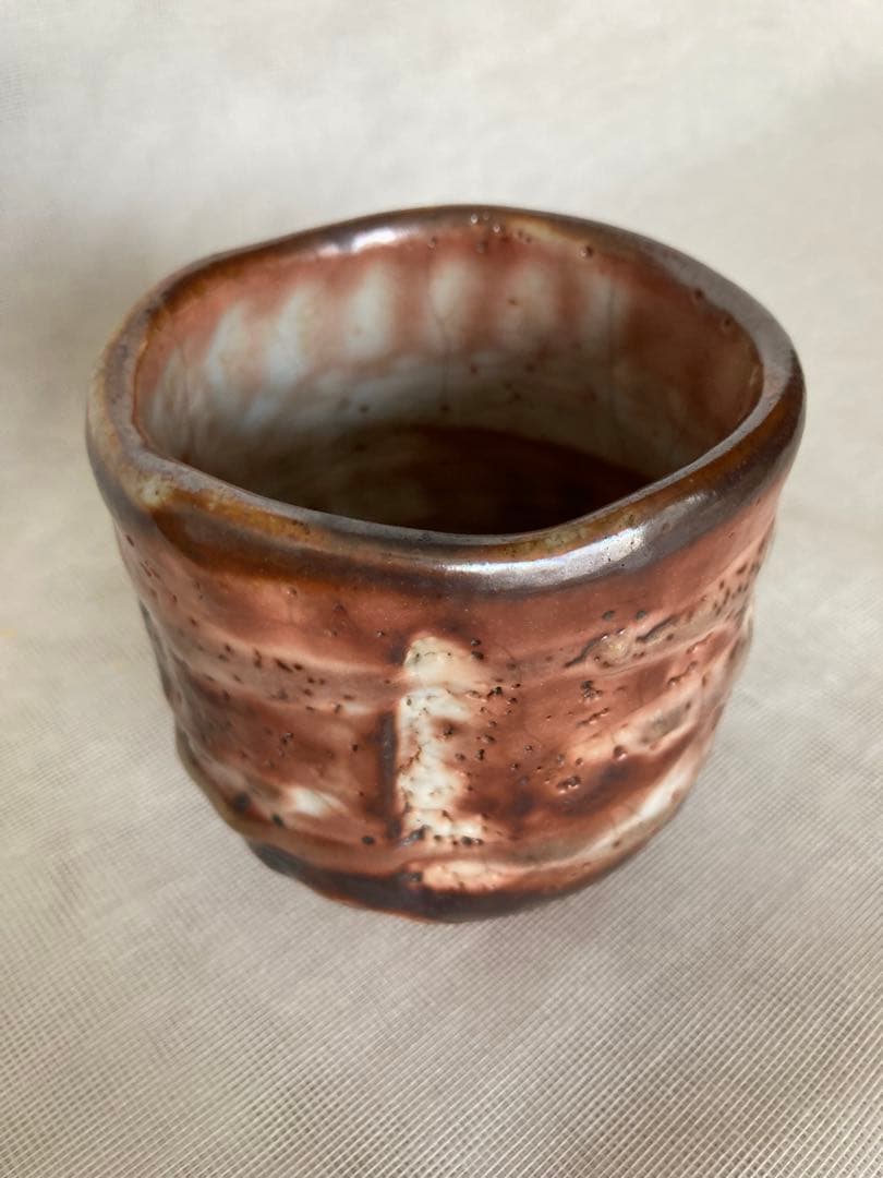 Kido Sadaaki Hafuri Shino Yunomi Teacup, Anagama Wood-Fired Shigaraki Ware