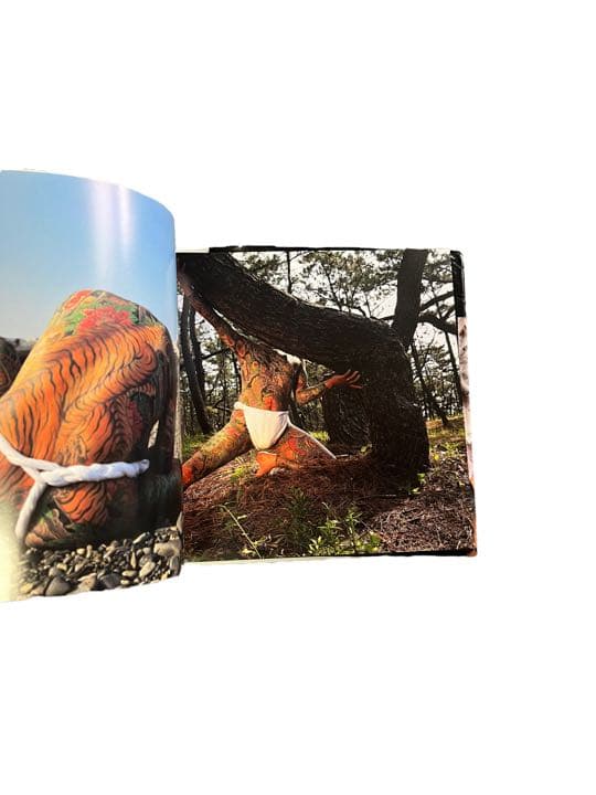 Aizo: The World of Horiyoshi III Photobook by Masato Sudo, Japanese Tattoo Irezumi