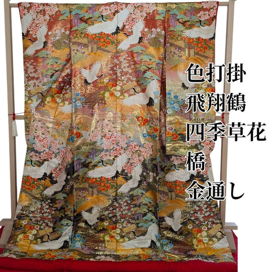 Iro-uchikake Wedding Kimono Karaori Silk with Cranes, Phoenix, Pine and Seasonal Flowers