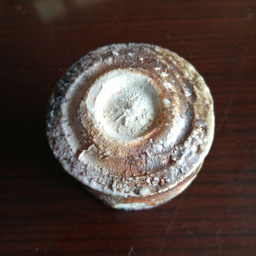 Iga-yaki Guinomi Sake Cup by Yosuke Kojima, Wood-fired Stoneware with Tomobako