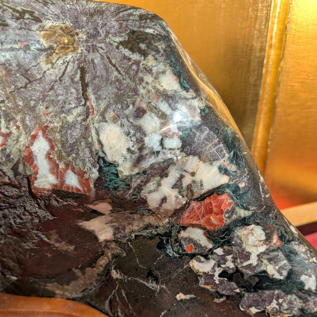 Kikkaseki Chrysanthemum Stone from Neodani Gifu Suiseki Viewing Stone on Keyaki Stand