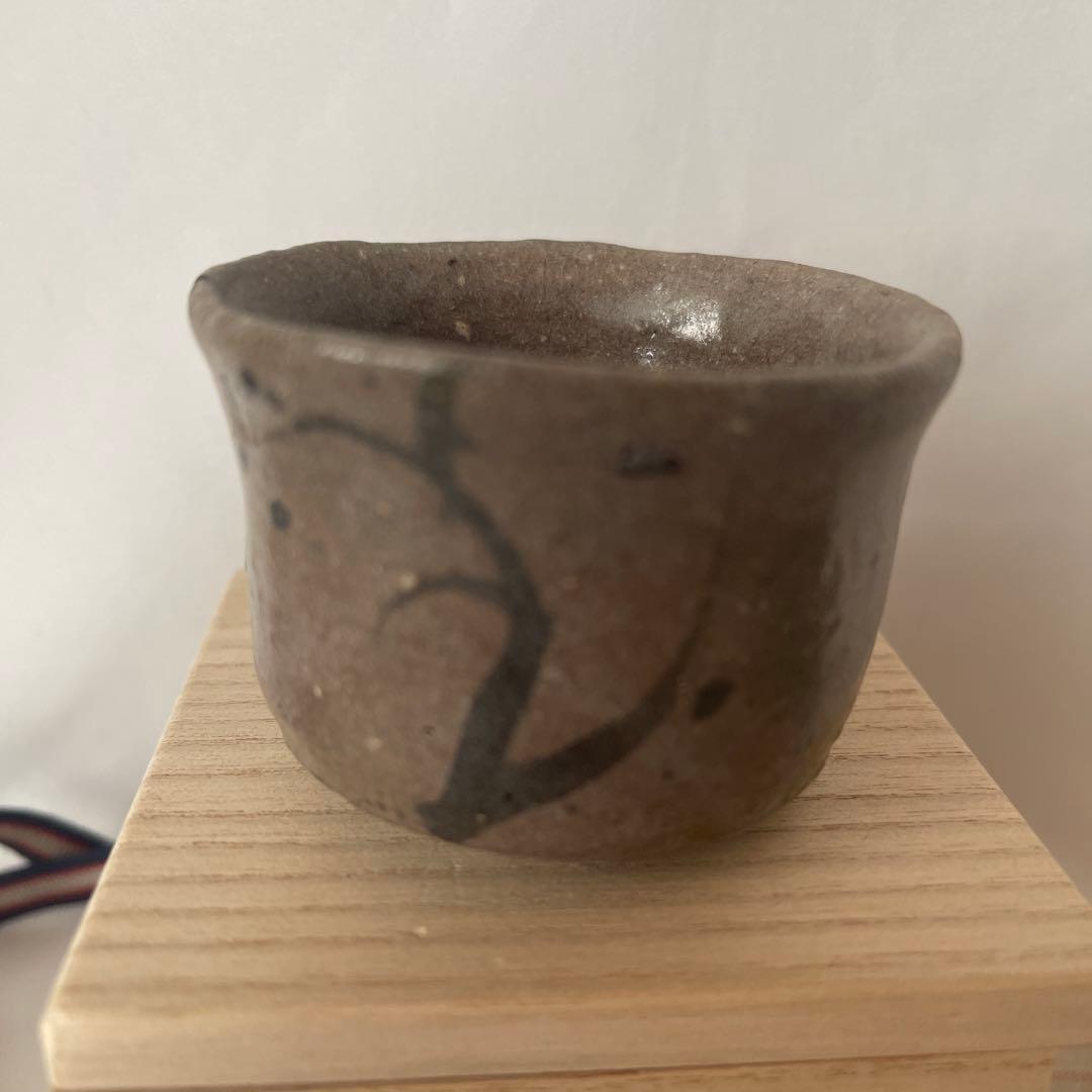 Karatsu Ware Guinomi Sake Cup by Munehiko Maruta, E-Garatsu, with Signed Box