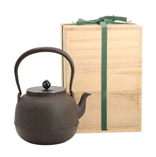 Kikuchi Masamitsu Shingata Tetsubin Iron Kettle for Sencha with Original Box