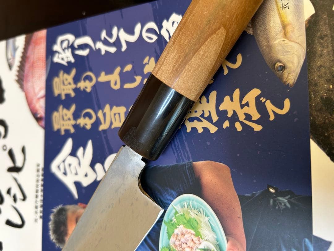 Nihonbashi Kiya Izutsuki Shobu Sashimi Knife 210mm Japanese Chef Knife