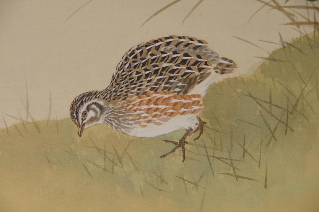 Ishikawa Yurin Hanging Scroll, Quails and Autumn Grasses, Silk, Signed Box, 136.5 x 55.8 cm