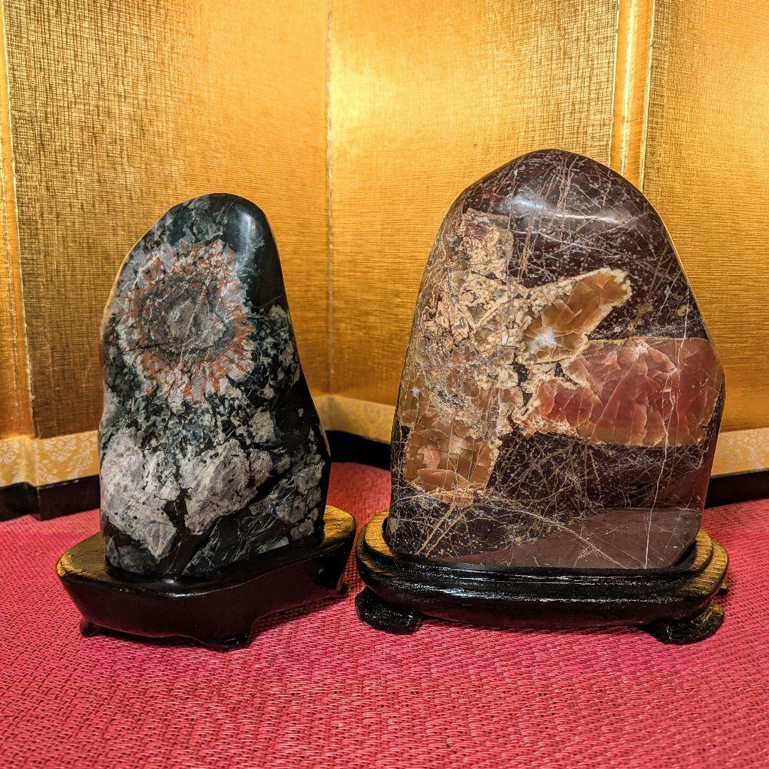Kikkaseki Chrysanthemum Stone Set of 2 Neodani Gifu Suiseki Viewing Stone