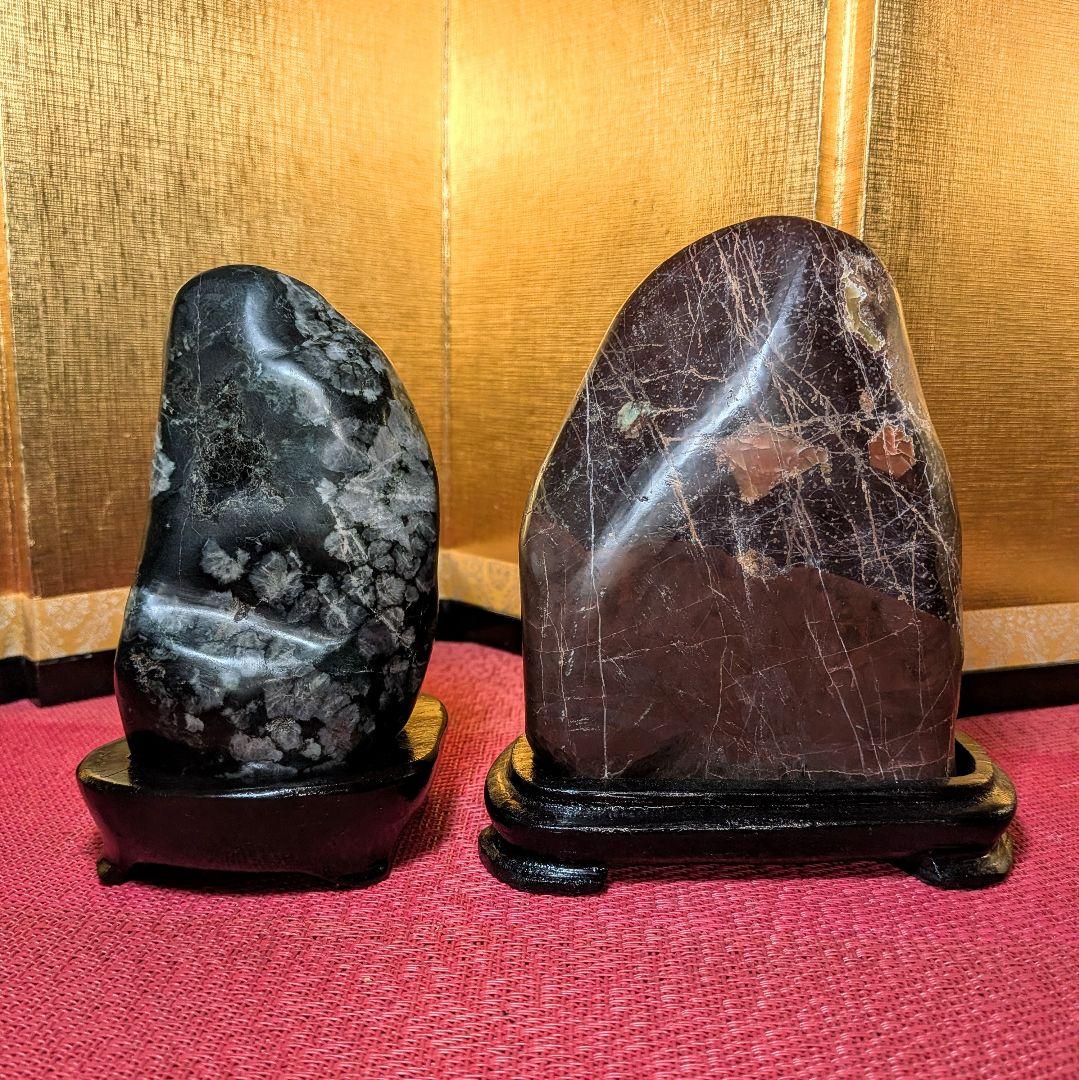 Kikkaseki Chrysanthemum Stone Set of 2 Neodani Gifu Suiseki Viewing Stone