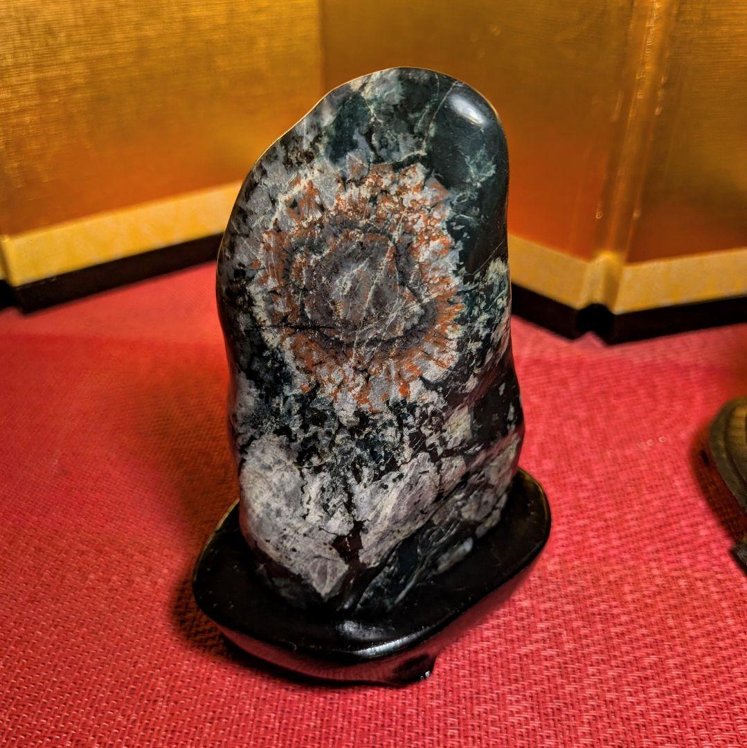 Kikkaseki Chrysanthemum Stone Set of 2 Neodani Gifu Suiseki Viewing Stone