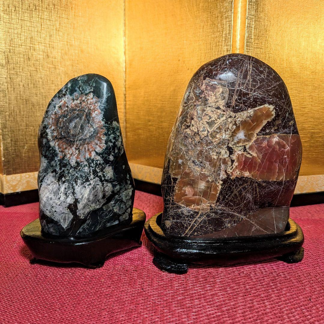 Kikkaseki Chrysanthemum Stone Set of 2 Neodani Gifu Suiseki Viewing Stone